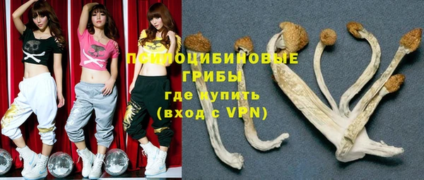 бошки Алзамай