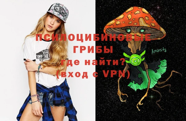 бошки Алзамай