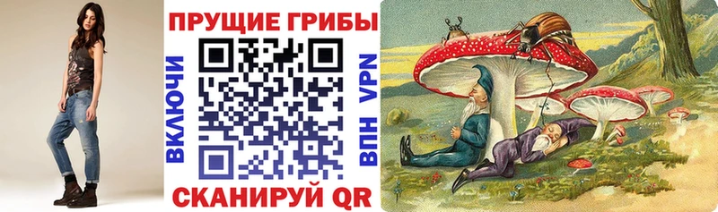 Псилоцибиновые грибы GOLDEN TEACHER  где можно купить наркотик  Волгоград 